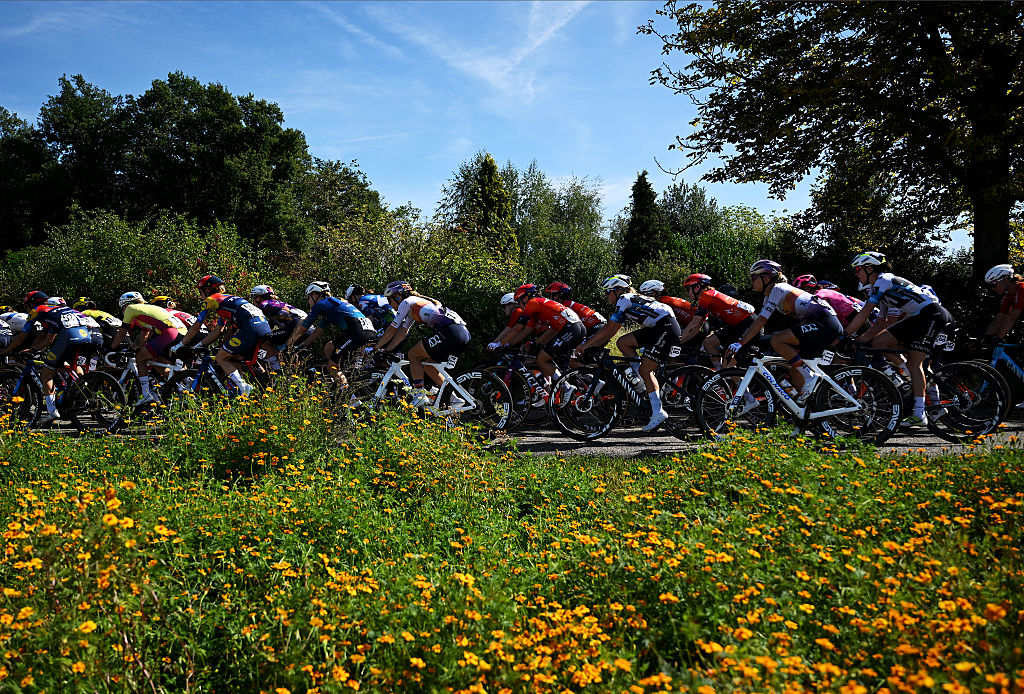 The peloton on stage 6