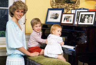 Princess Diana Prince William Prince Harry