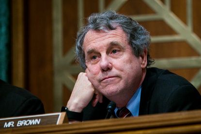 Sherrod Brown. 