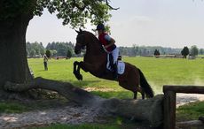 Charlotte Dujardin pops River Rise Escala over a log on the cross-country course at SomerfordPark