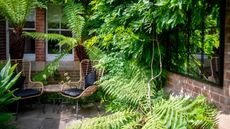 courtyard garden with ferns