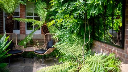 courtyard garden with ferns