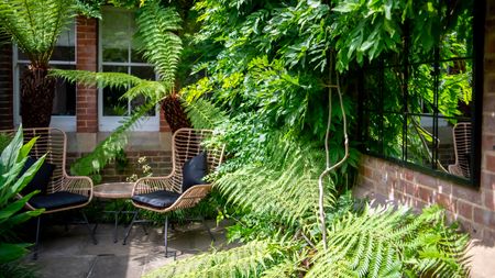 courtyard garden with ferns