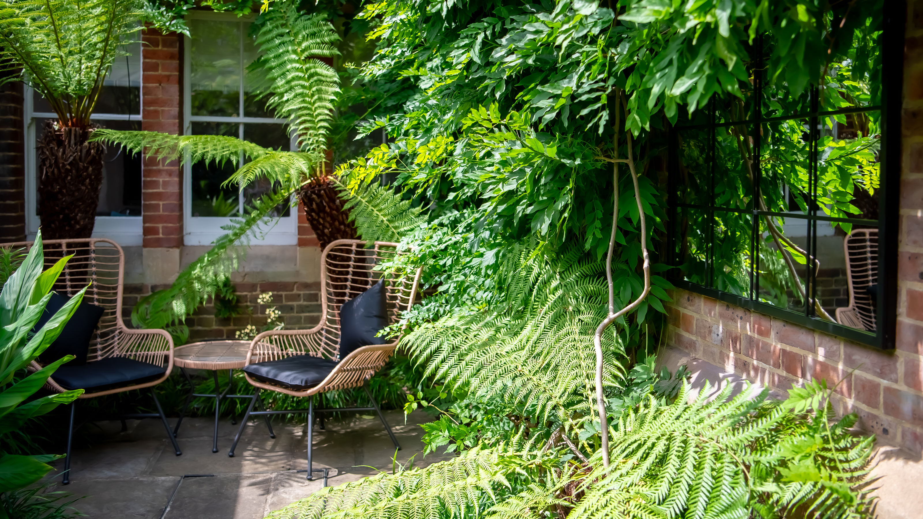 courtyard garden with ferns