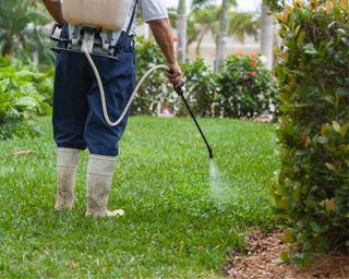pest control technician spraying lawn