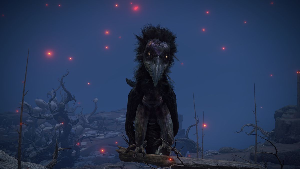 It's been a year and I'm still mad about the birds in Elden Ring