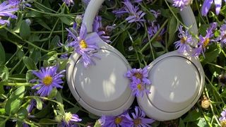 Sony WH-1000XM4 headphones sitting in grass among pink flowers