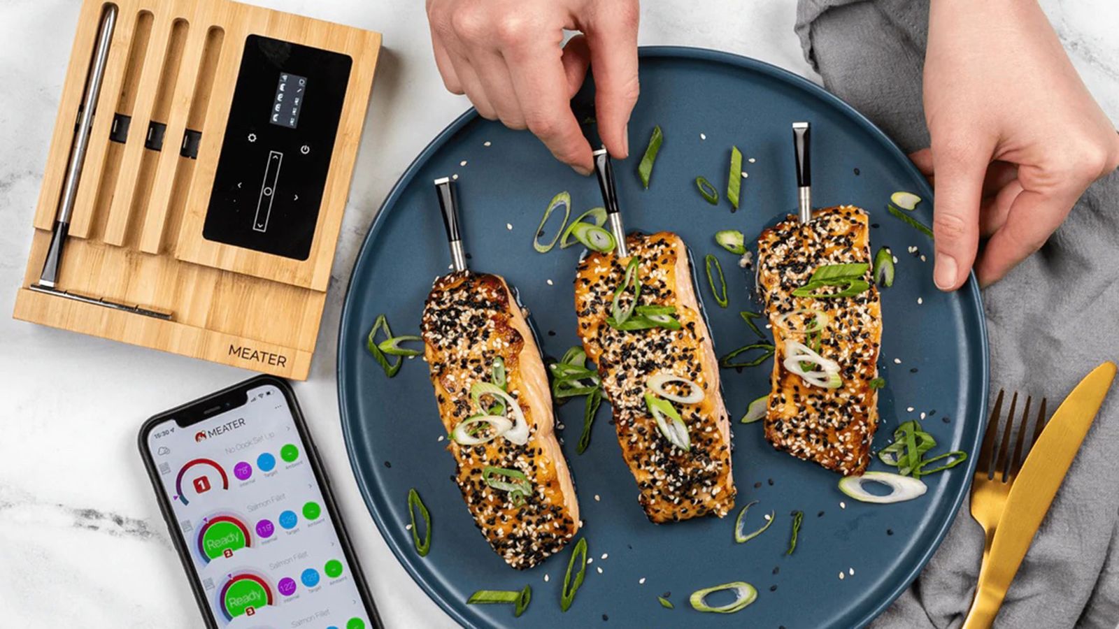 Meater Block temperature probe review transformative meat cooking T3