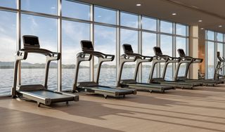 A row of treadmills in a gym