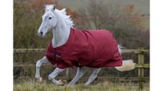 Bucas Freedom lightweight turnout