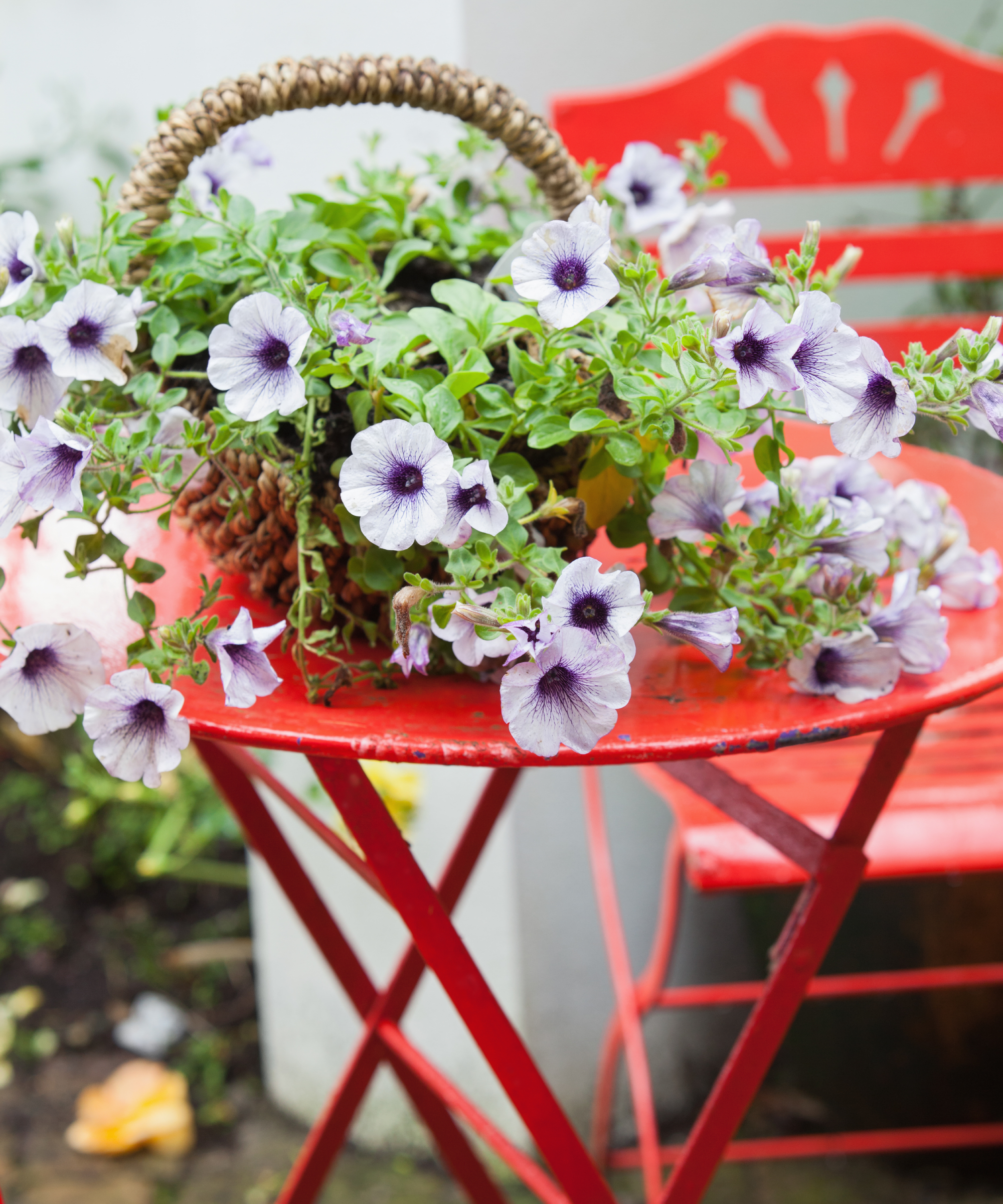 Basket of purple flowers on red garden table