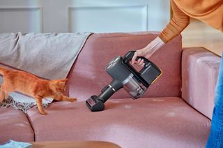 A woman is vacuuming a velvet sofa with a handheld vacuum. A small ginger kitten is playing with the nozzle attachment