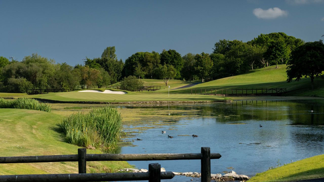Druids Glen - Hole 17