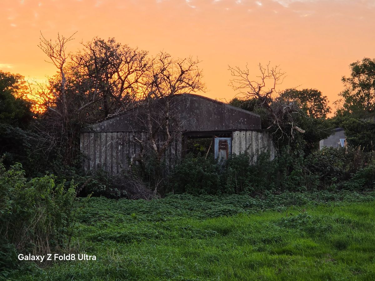 Overgrown abandoned farm building surrounded by vegetation beneath an orange sunset sky.