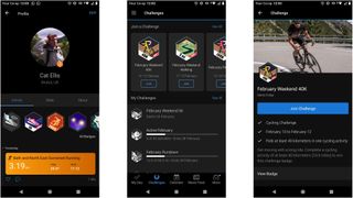 Badges and challenges in Garmin Connect app