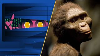 Science News This Week Nov. 29 2025