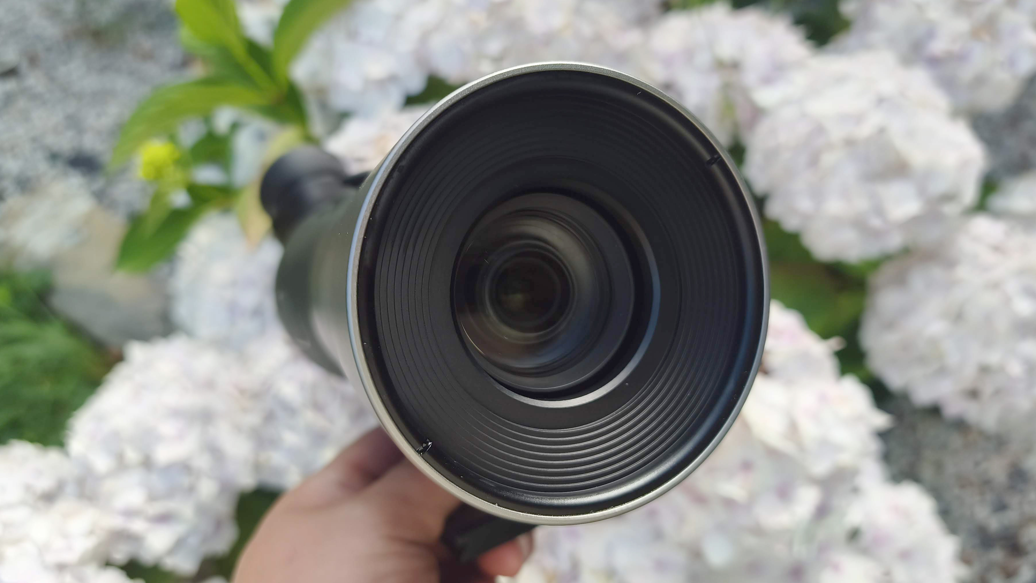 GoBirding Vision Master