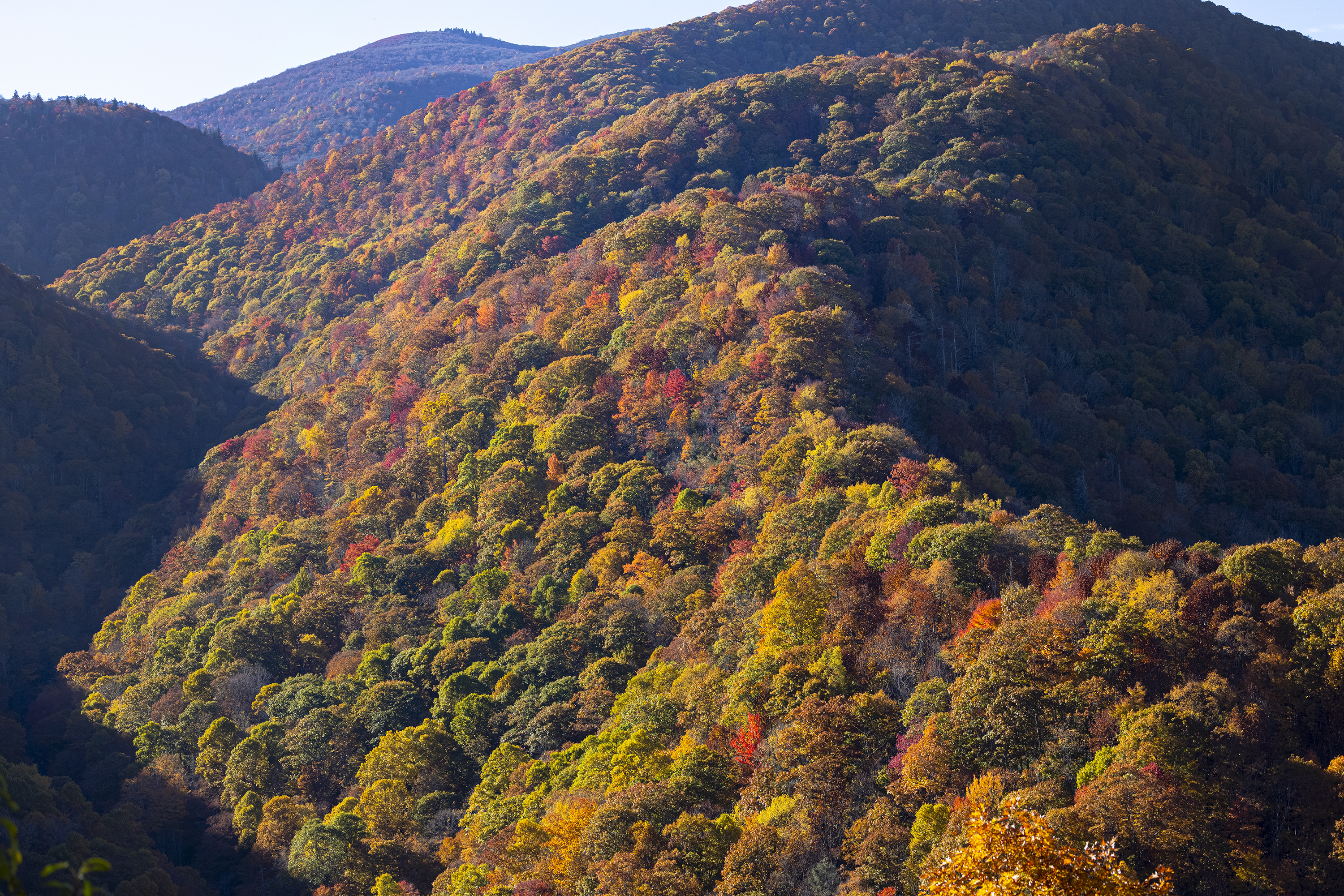 Cherry Cove Outlook on the Blue Ridge Parkway near Asheville, North Carolina, during fall