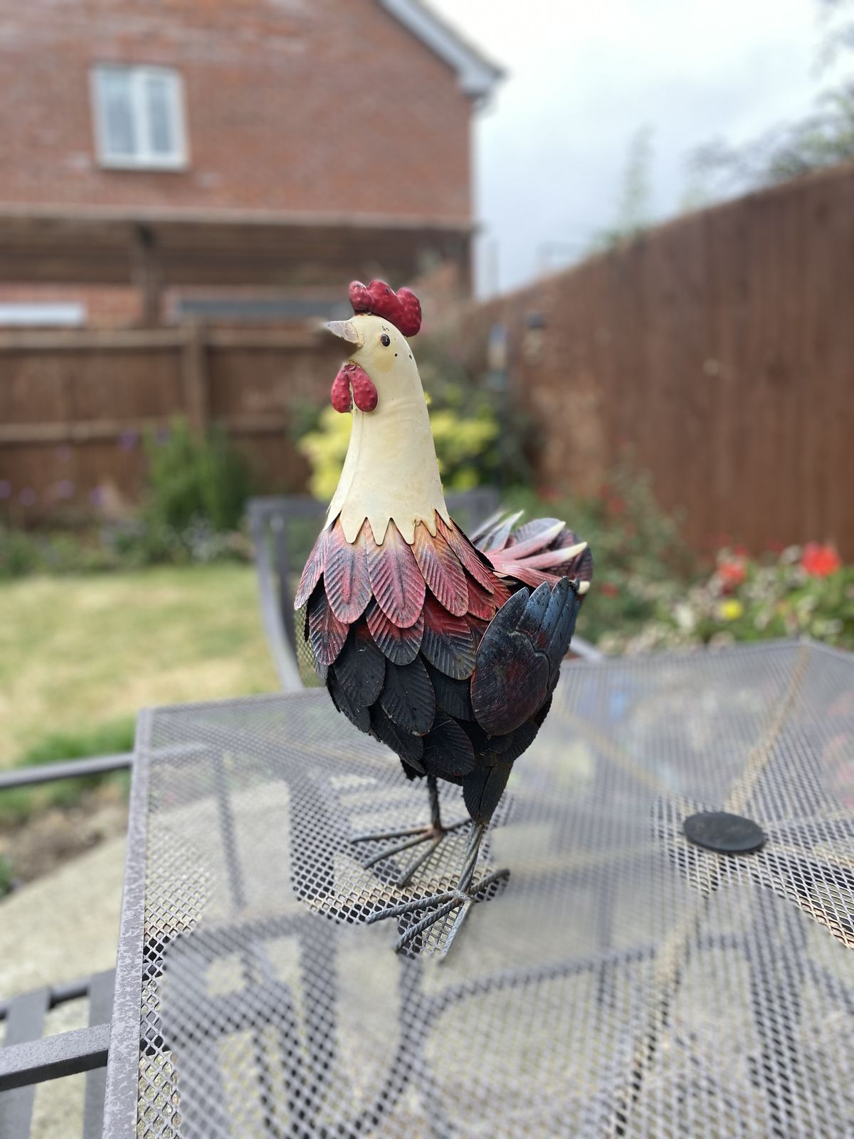 iPhone 11 camera