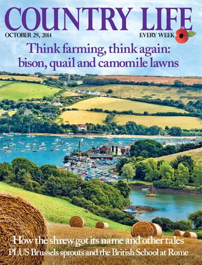 Country Life October 29 2014