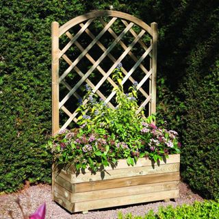 Rectangular wooden planter with pastel flowers in front of climbing plants and shrubs