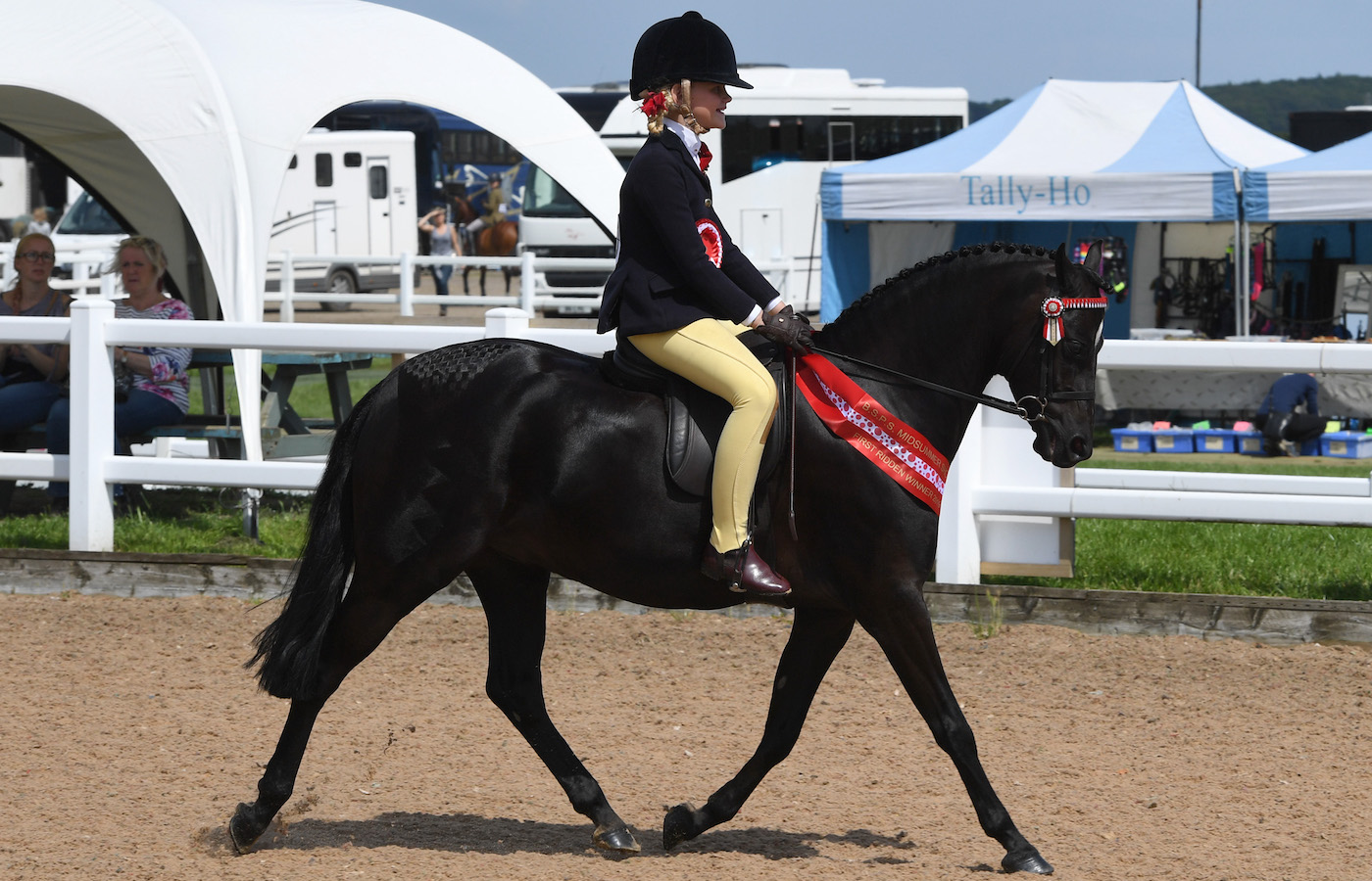 A first-ridden pony showing the benefits of training with a light and consistent contact