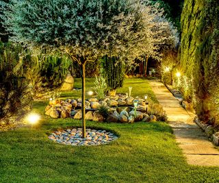 Spike lights in a back garden full of evergreen planting and trees