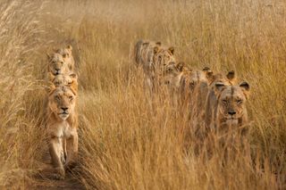 Siena International Photo Awards 2023