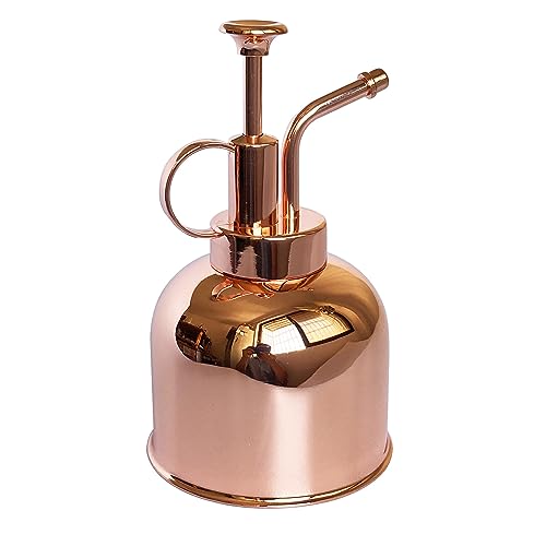 Lianshi Plant Mister Spray Bottle Stainless Steel Plant Sprayer, Small Watering Can Plant Spray Bottle Modern Gardening Tools for Indoor Potted Plants Watering and Spraying