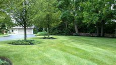 A freshly-mown lawn in front of a property with a stone wall