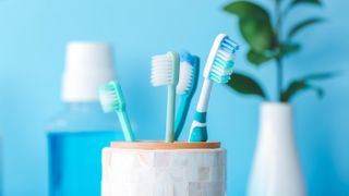 Four toothbrushes in a holder
