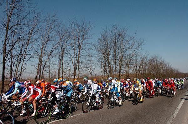 The bunch rides along the flatter part