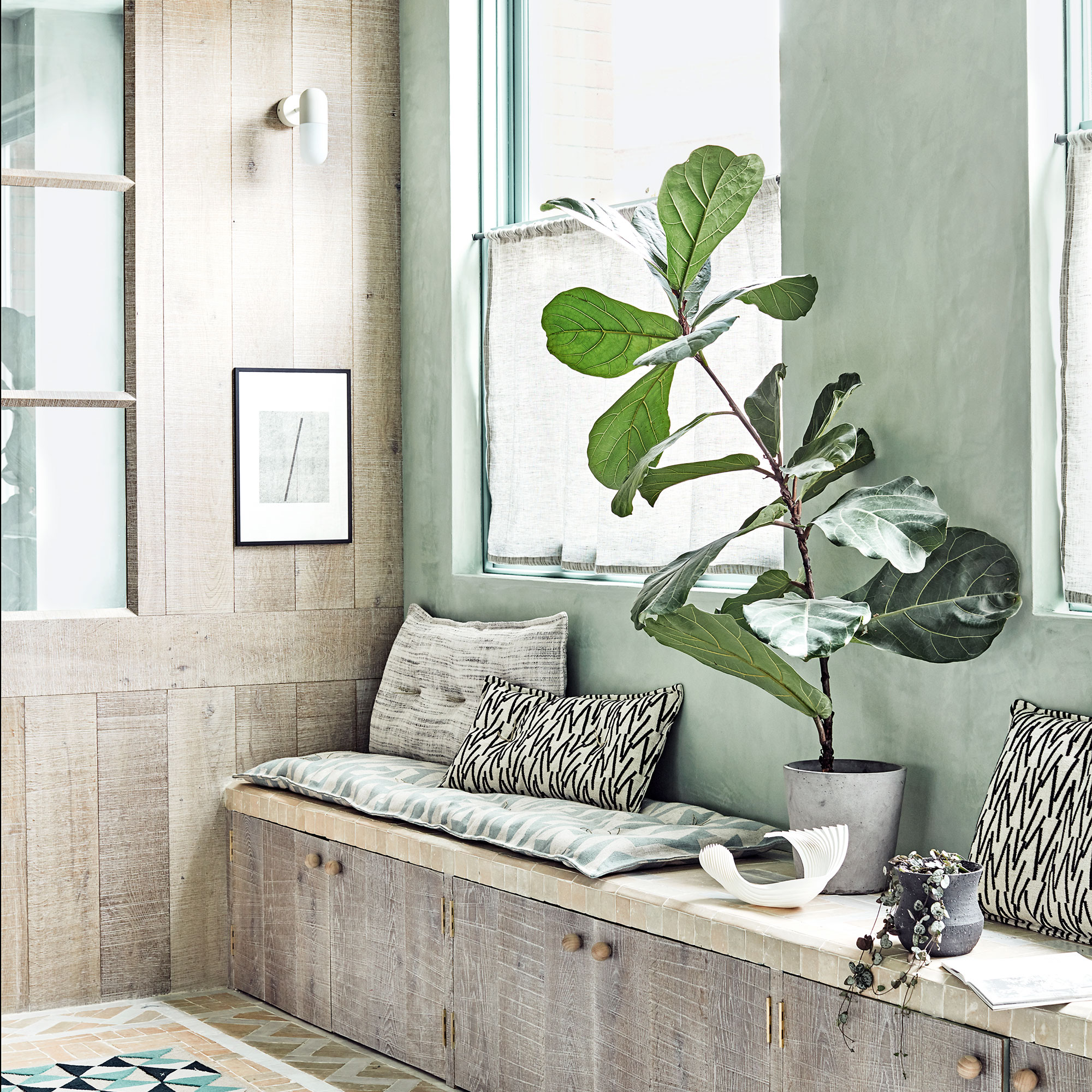 Mint green room with wooden storage bench with a plant and cushions.