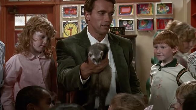 32 Arnold Schwarzenegger One-Liners That Are Still Memorable | Cinemablend
