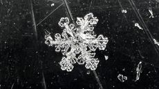 Snowflake