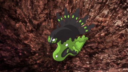 Pokemon anime Zygarde