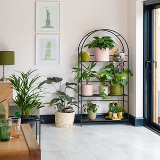 open plan dining room with arched shelf unit with houseplants