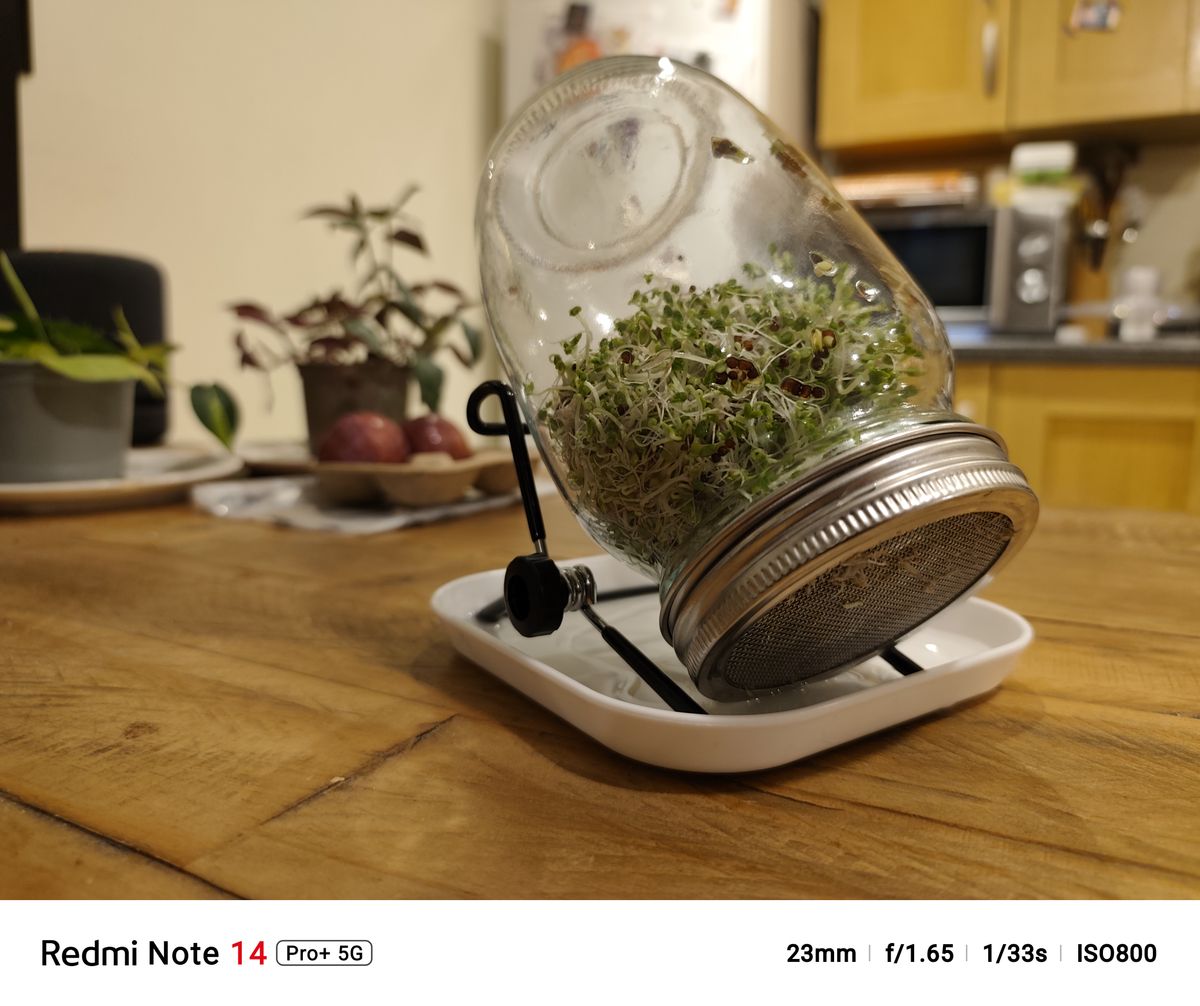 Close-up objects captured on the Redmi Note 14 Pro Plus