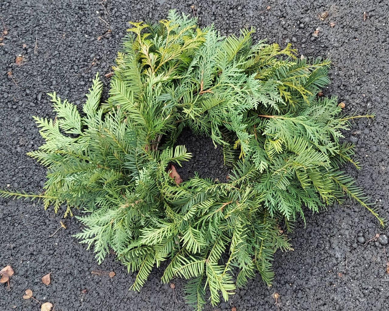 Completed evergreen advent wreath