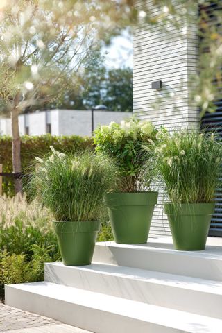 container gardening ideas: Elho green pot with grasses