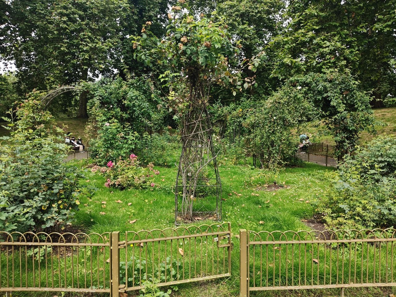 OnePlus Nord 4 camera sample