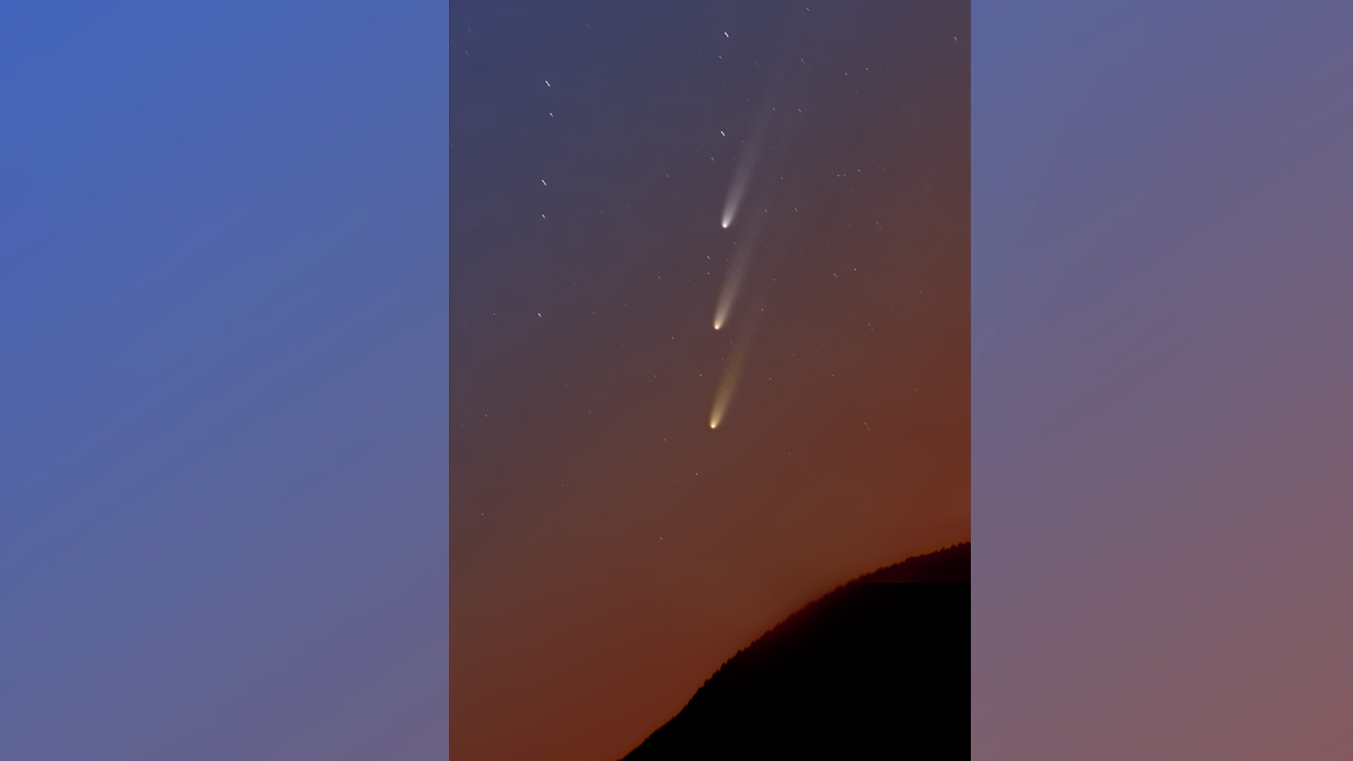 composite image of three comet images showing the comet rising above the horizon in the early predawn sky. 