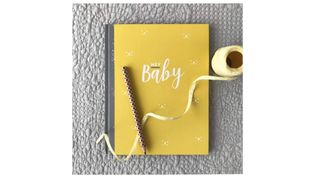 Illustries Baby Journal and Record Book