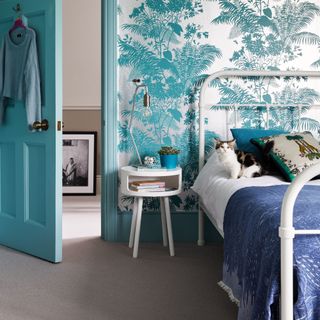 Teal coloured bedroom with beige carpet, a metal framed bed with a cat on it, and a teal painted door