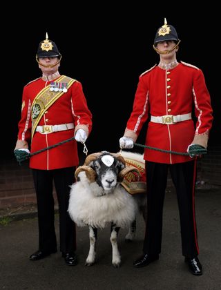 Private Derby’s duties including switching on Christmas lights and leading out the football team at Derby County’s home games