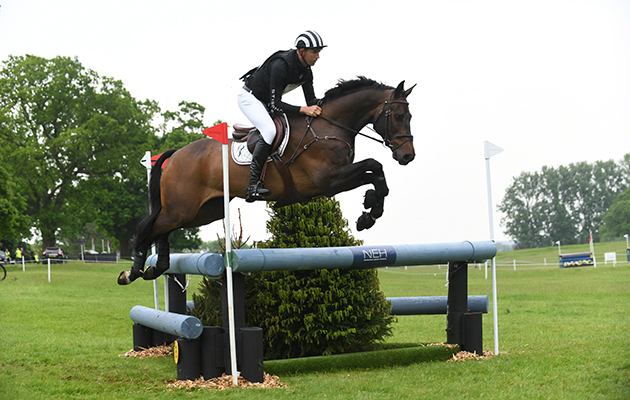Young event horses to watch Diachello II Jesse Campbell