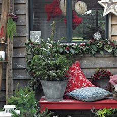 potted Christmas tree on bench 
