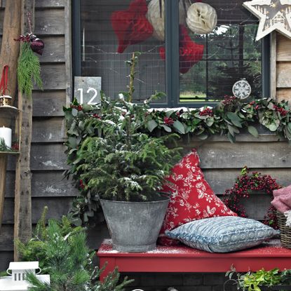 potted Christmas tree on bench 