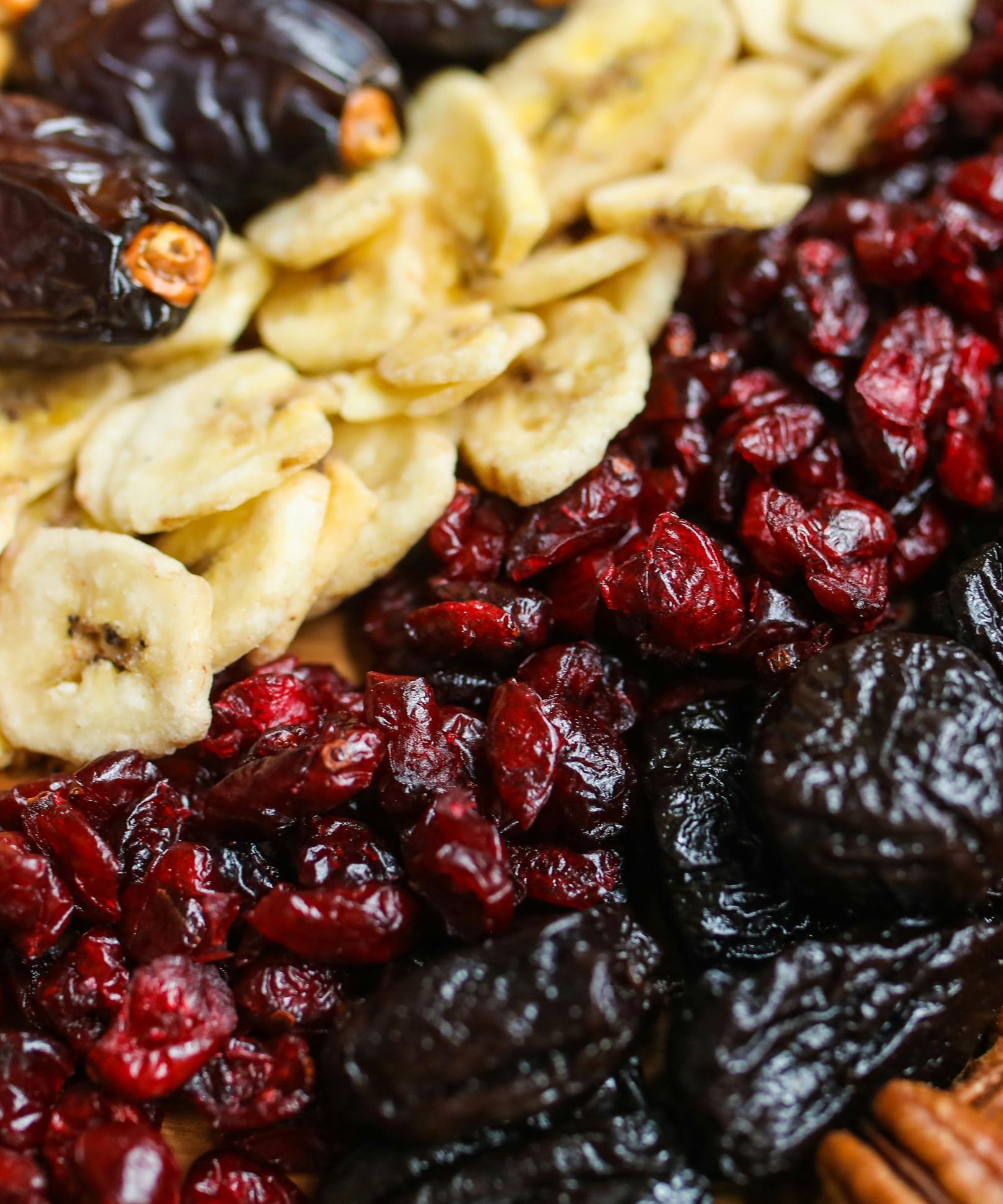 Lines of dried cranberries, prunes, banana chips and dates