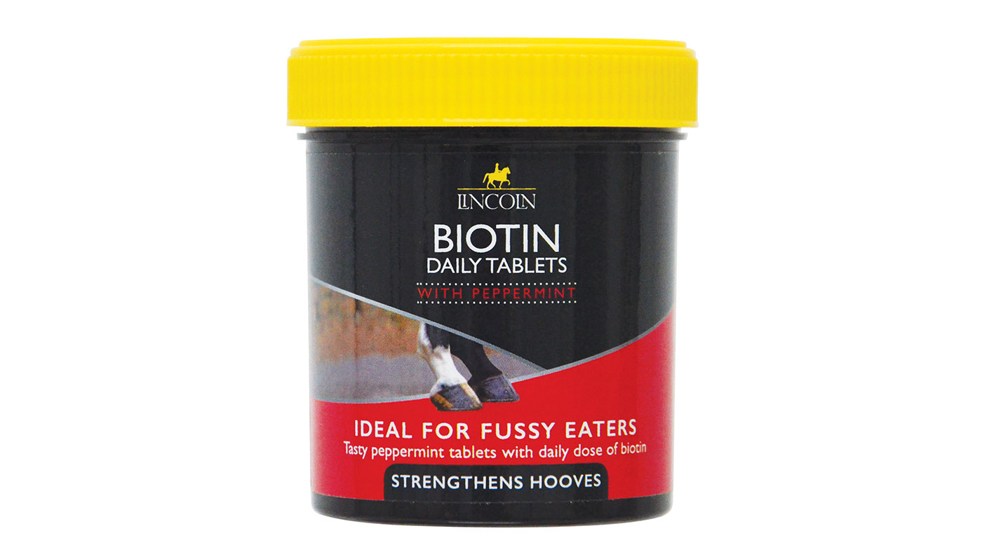Lincoln Biotin Daily Tablets